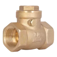 Зворотний клапан пелюстковий Thermo Alliance 3/4" ВВ (низького тиску)
